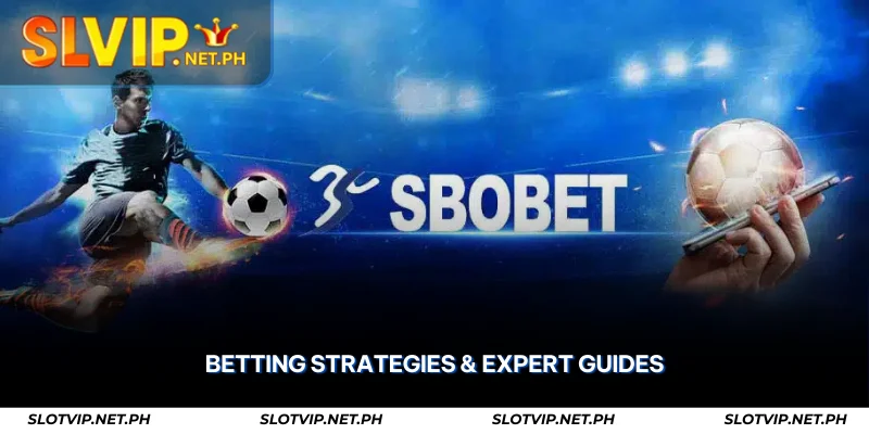 SBO Sports Reviews – Trusted Sportsbook & Betting Strategies 4 betting strategies & expert guides