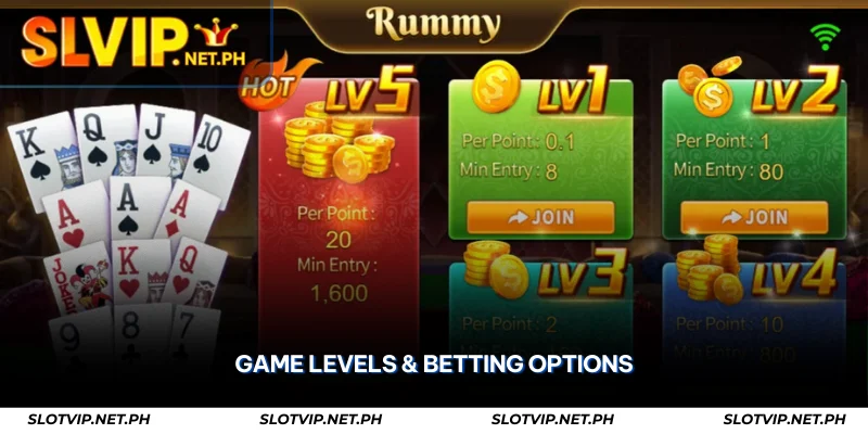 Rummy Online JILI – Play Classic Card Game at SLOTVIP 2 game levels & betting options