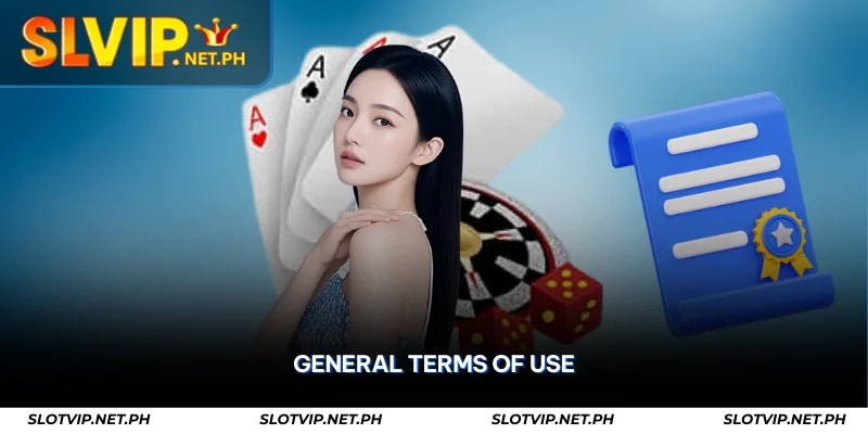 SLOTVIP Terms and Conditions – Rules for Fair & Secure Play 1 general terms of use