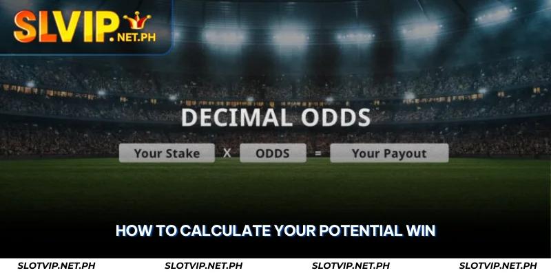 European Odds Explained – Bet Smart with SLOTVIP 2 how to calculate your potential win