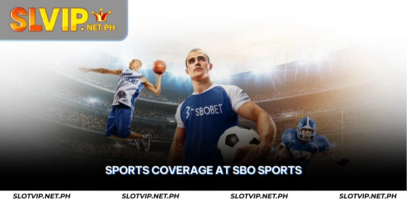SBO Sports Reviews – Trusted Sportsbook & Betting Strategies 3 sports coverage at sbo sports
